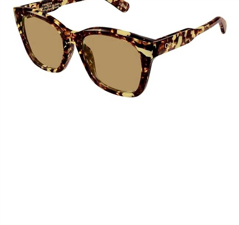 NEW CHLOE women's ch0194sk square sunglasses in havana brown